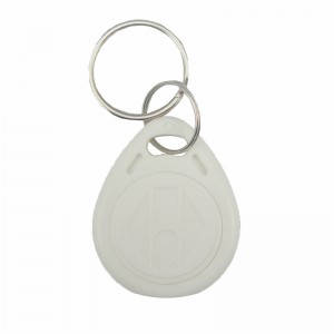 125KHz EM4305 RFID Key Tag for Access Control