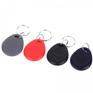 125KHz EM4200 RFID Key Tag for Access Control